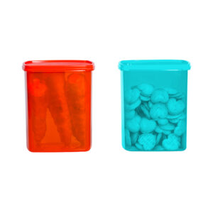 Large Plastic Storage Containers