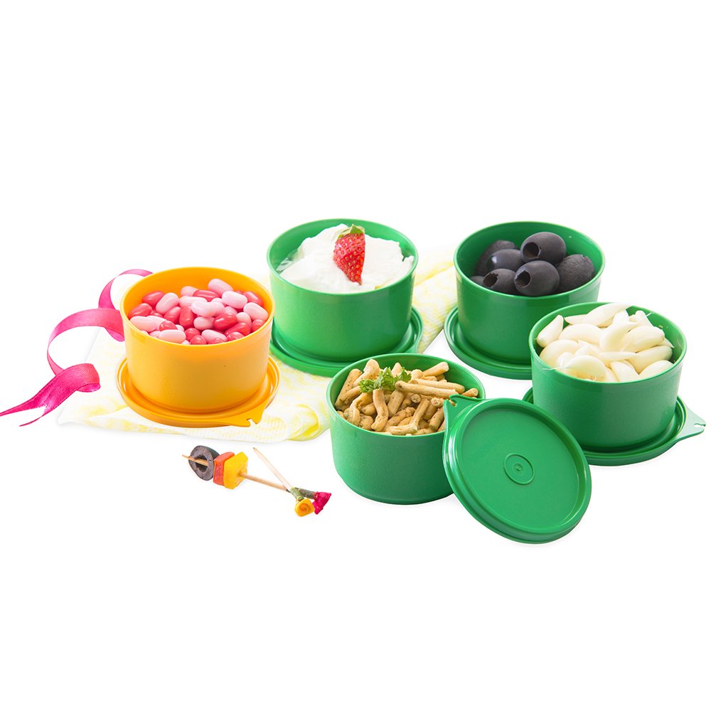 Small Plastic Bowls With Lid AirTight & Microwave Safe